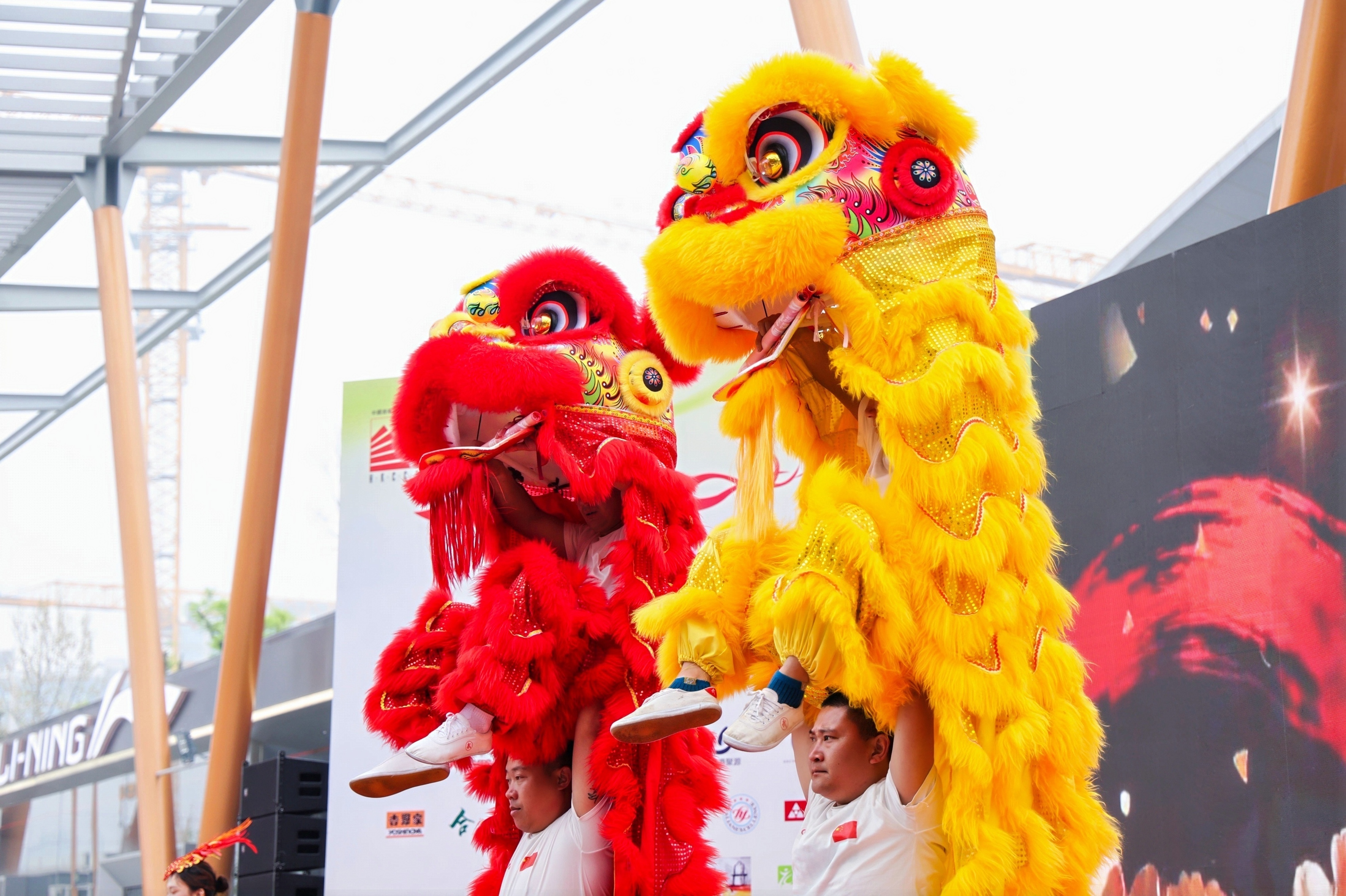 Asian Tigers Canada Day
